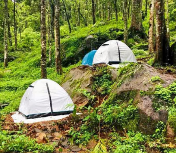 Family Getaway Wayanad Tour Package for 6 Days 5 Nights