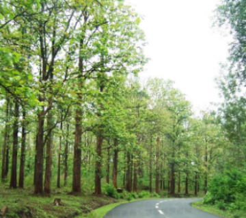 Magical 5 Days 4 Nights Bangalore, Mysore, Coorg and Ooty Trip Package