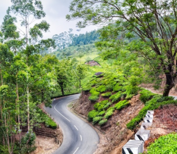 Magical 5 Days 4 Nights Bangalore, Mysore, Coorg and Ooty Trip Package