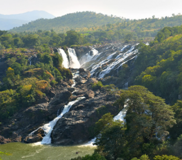 Ecstatic 5 Days 4 Nights Coonoor Trip Package