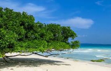 Experience 4 Days 3 Nights Port Blair and Port Blair To Havelock Vacation Package