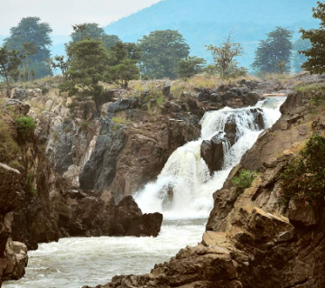 Family Getaway Ooty Tour Package for 5 Days 4 Nights