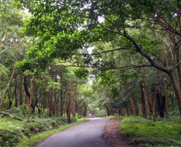 Best Mysore Tour Package for 6 Days 5 Nights