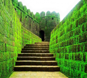 Beautiful Bangalore Tour Package for 2 Days from Coonoor