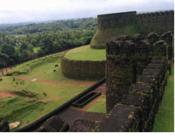 Ecstatic 5 Days Bangalore, Coorg, Ooty and Coonoor Trip Package