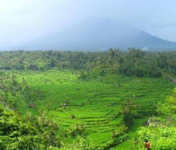 Memorable Coorg Tour Package for 6 Days 5 Nights