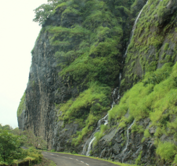 4 Days Bangalore, Coorg with Ooty Vacation Package