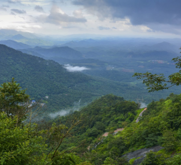 Amazing Coonoor Tour Package for 2 Days 1 Night