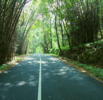 Magical Coorg Tour Package for 5 Days 4 Nights