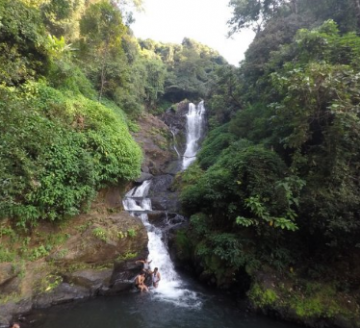 Memorable 4 Days Bangalore, Wayanad with Coonoor Tour Package