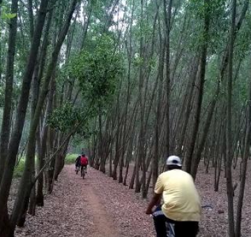 Best 2 Days Ooty to Bangalore Trip Package