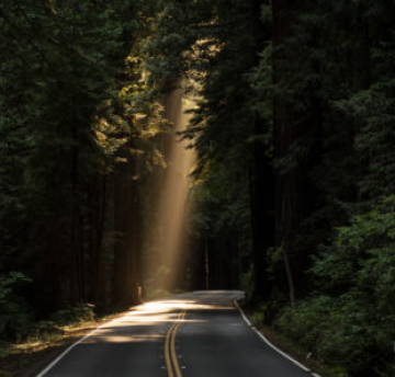 Experience 4 Days 3 Nights Bangalore, Ooty with Coonoor Trip Package