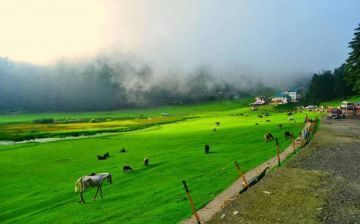 4 Days 3 Nights Dalhousie Dharamshala and chandigarh Tour Package