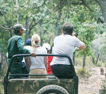 Family Getaway Bangalore Tour Package from Mysore