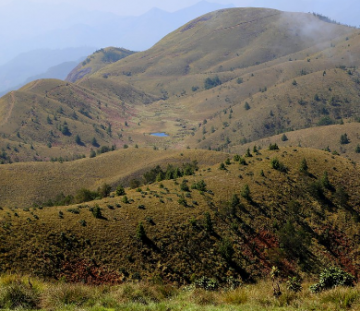 Bangalore and Wayanad Tour Package from Wayanad