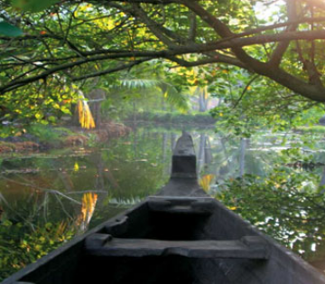 Experience 4 Days Bangalore, Wayanad with Coonoor Trip Package