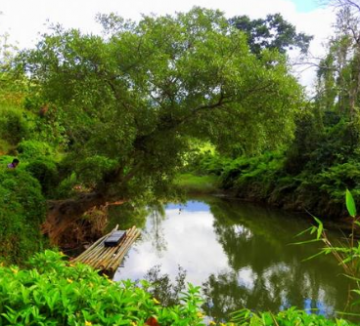 Best Wayanad Tour Package from Bangalore