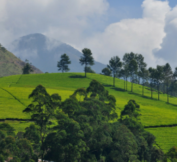 Pleasurable 4 Days 3 Nights Bangalore, Ooty and Coonoor Tour Package