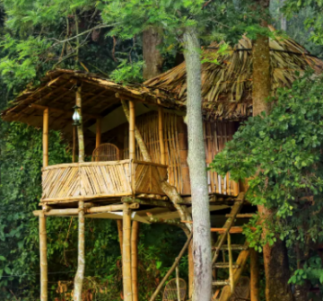 Pleasurable Coonoor Tour Package for 5 Days