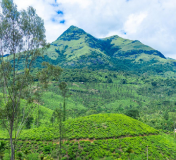 Ecstatic 6 Days 5 Nights Bangalore, Coorg, Ooty with Wayanad Trip Package