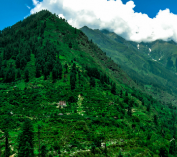 Amazing 4 Days Bangalore, Coorg and Ooty Holiday Package