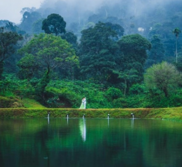 Amazing 4 Days Bangalore, Coorg and Ooty Holiday Package