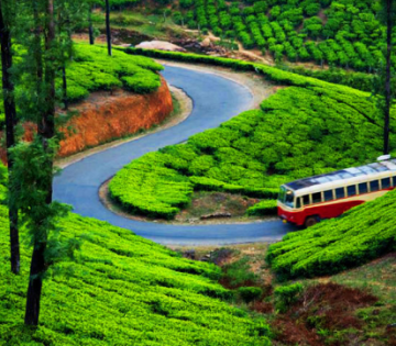 5 Days Bangalore, Coorg, Ooty and Coonoor Tour Package
