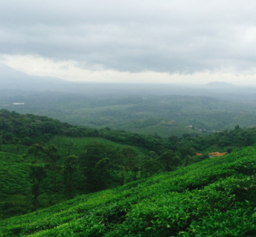 Experience 2 Days 1 Night Bangalore with Mysore Trip Package