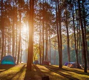 Amazing 2 Days 1 Night Bangalore and Ooty Holiday Package