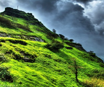 Heart-warming 5 Days Bangalore to Ooty Tour Package