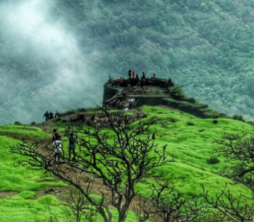 Heart-warming 5 Days Bangalore to Ooty Tour Package