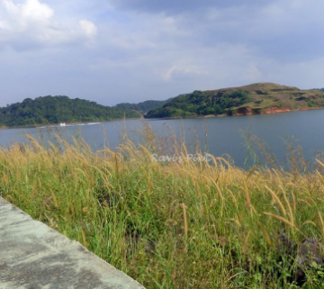 Pleasurable 4 Days 3 Nights Bangalore, Wayanad with Ooty Trip Package