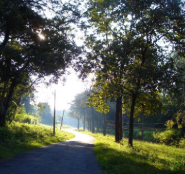 Magical 5 Days 4 Nights Coorg Vacation Package