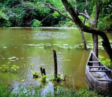 Heart-warming 2 Days Bangalore and Mysore Holiday Package