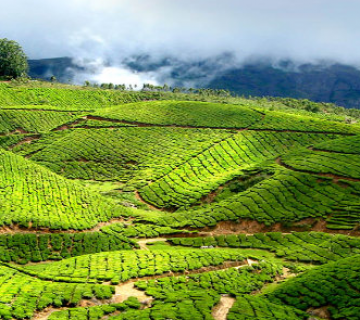 Heart-warming 2 Days Coorg to Bangalore Trip Package