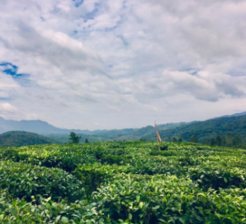 Memorable 3 Days 2 Nights Bangalore with Coorg Trip Package