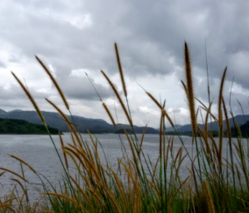 Amazing 2 Days 1 Night Bangalore with Ooty Trip Package