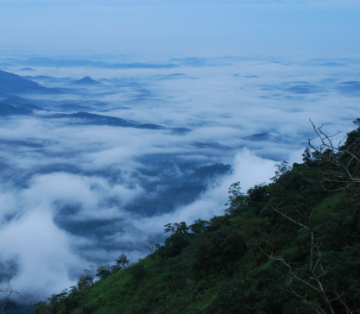 Pleasurable Ooty Tour Package for 4 Days from Bangalore