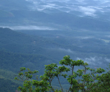 Pleasurable Ooty Tour Package for 4 Days from Bangalore