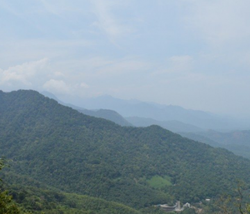 Memorable 5 Days Bangalore to Ooty Trip Package