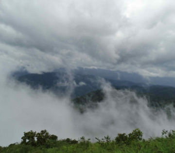 Memorable 5 Days Bangalore to Ooty Trip Package