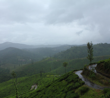 Magical 6 Days 5 Nights Bangalore, Coorg, Wayanad with Ooty Tour Package