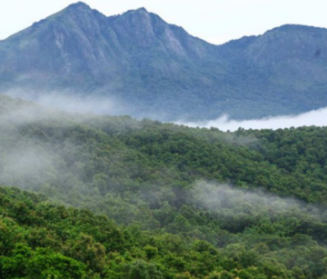 Magical 6 Days 5 Nights Bangalore, Coorg, Wayanad with Ooty Tour Package