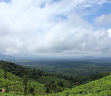 Pleasurable 2 Days Ooty to Wayanad Vacation Package
