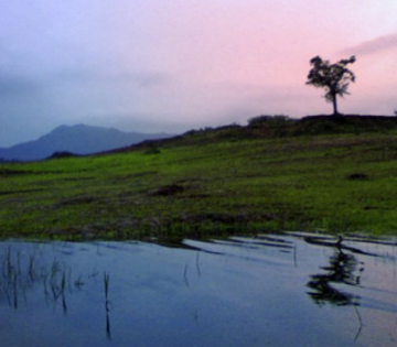 Magical Wayanad Tour Package for 3 Days 2 Nights from Ooty