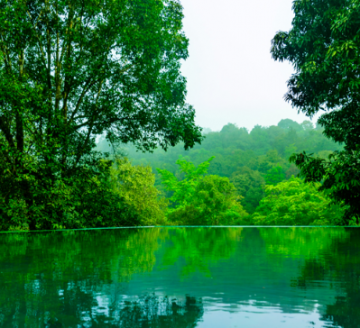 Bangalore, Coorg, Wayanad with Ooty Tour Package for 6 Days 5 Nights from Bangalore