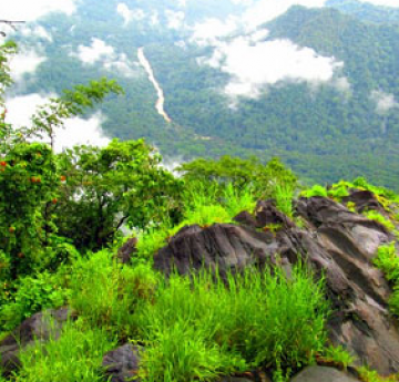 Family Getaway 4 Days 3 Nights Wayanad Holiday Package