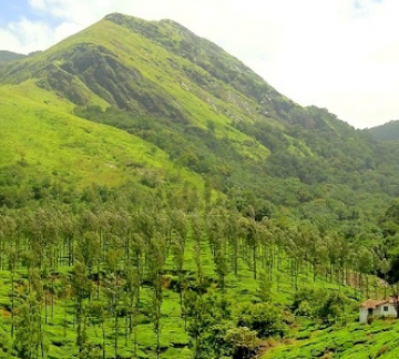 Best 5 Days Bangalore, Wayanad, Ooty with Coonoor Trip Package