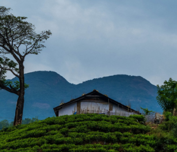 Family Getaway 6 Days 5 Nights Wayanad Holiday Package