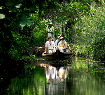 Pleasurable 3 Days 2 Nights Bangalore and Mysore Tour Package